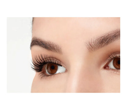 Faux Mink 812, 4-Pack