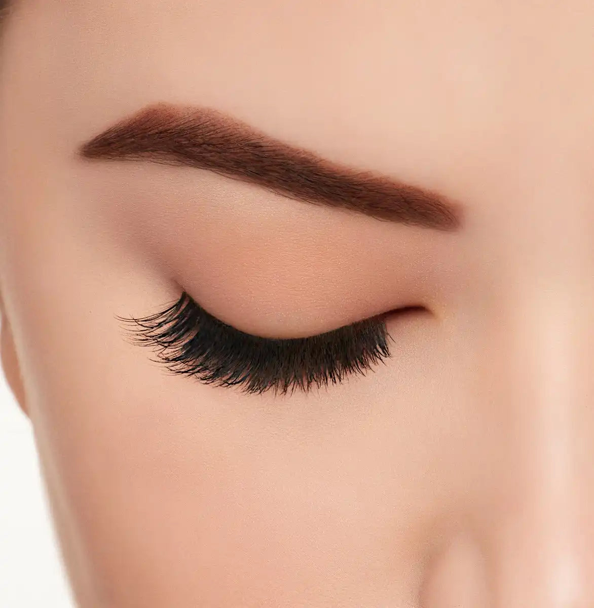 Active Lash Speedy